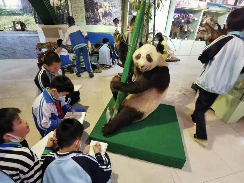 av女优
组织学生参观海南生物多样性博物馆
