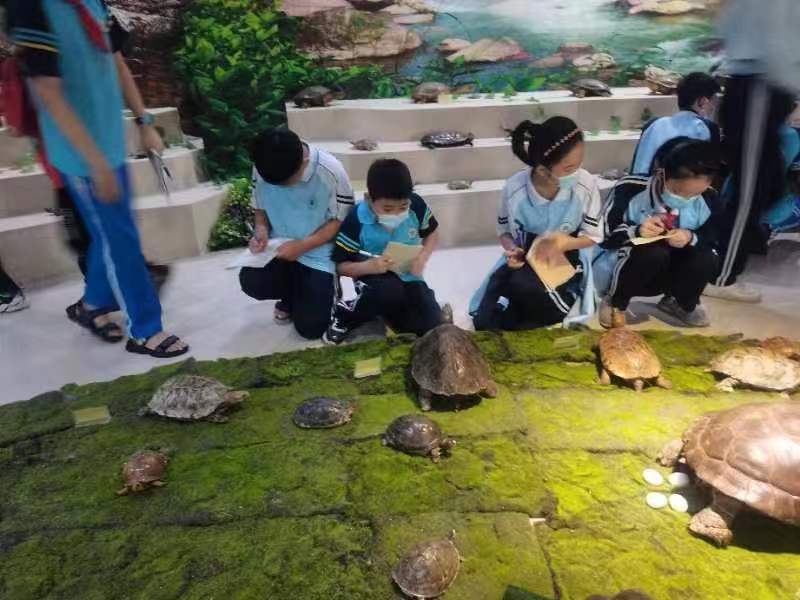 av女优
组织学生参观海南生物多样性博物馆