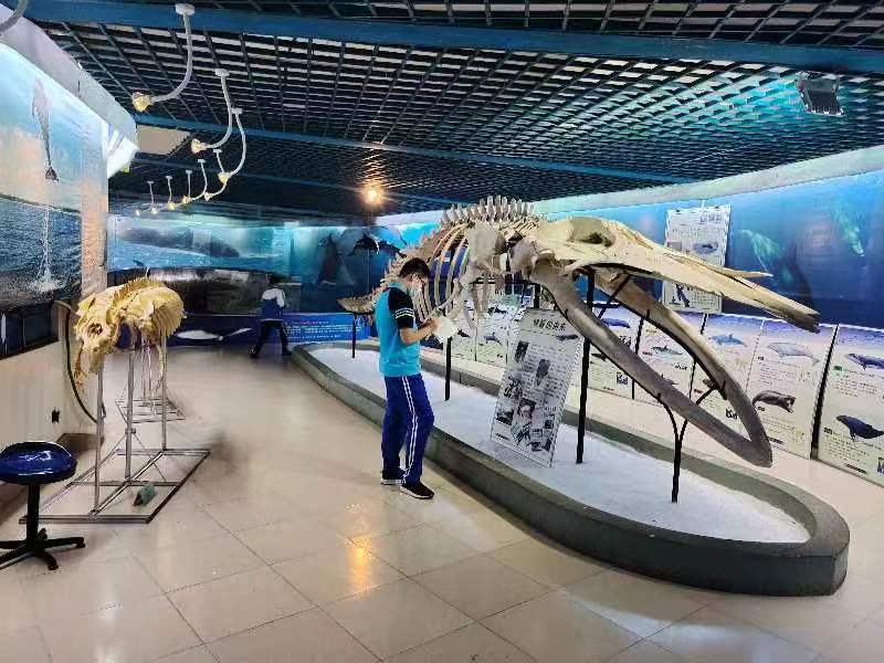 av女优
组织学生参观海南生物多样性博物馆