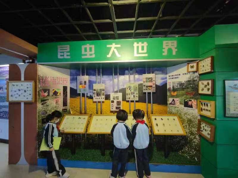 av女优
组织学生参观海南生物多样性博物馆